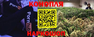 скорость Лесосибирск