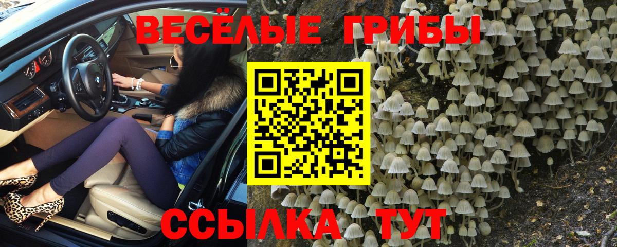 Псилоцибиновые грибы GOLDEN TEACHER Фурманов